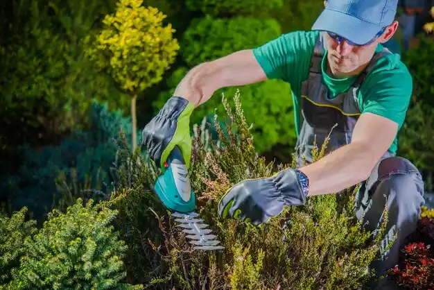 landscaping services Gallipolis